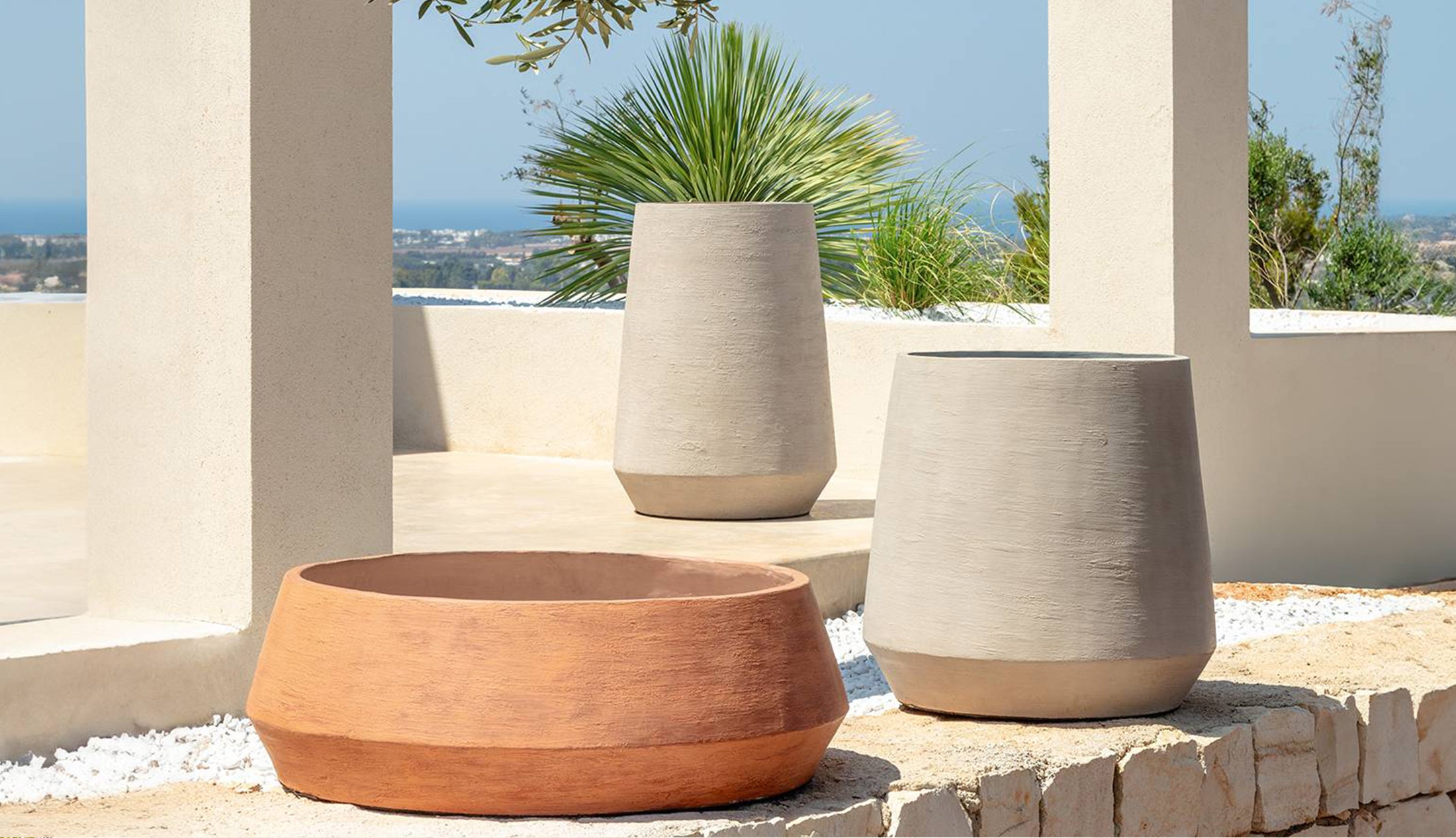 MOSES POT